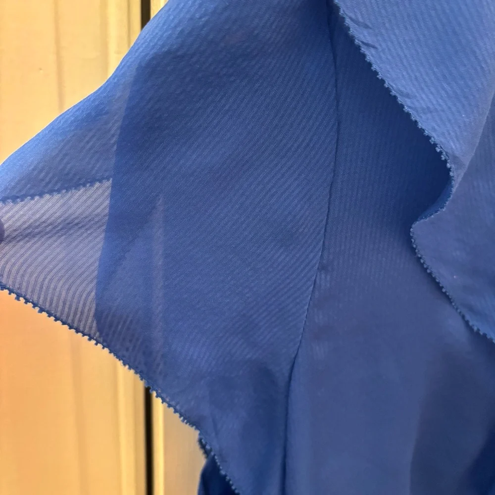 BCBGMaxAzria Silk Royal Cobalt Blue Sheer Blouse size M Ruffles - Picture 4 of 9